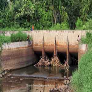 Alioluwa Lake