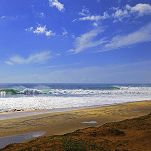 Arugam Bay 