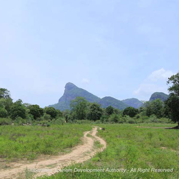 Travel Sri Lanka