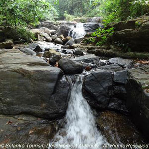 Bopagama Water Fall