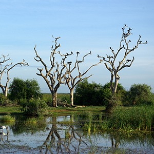 Bundala National Park