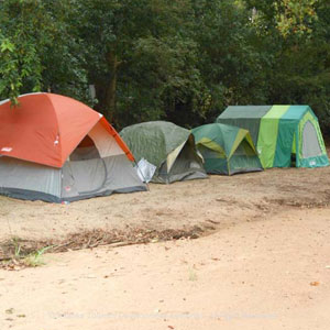 Camping in Kumana National Wildlife Sanctuary