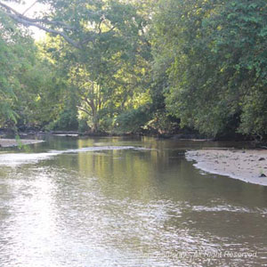 Camping in Kumana National Wildlife Sanctuary