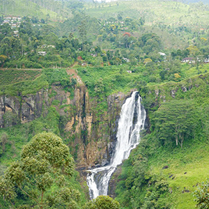 Devon Falls