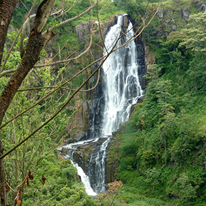 Devon Falls