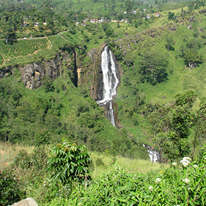 Devon Falls