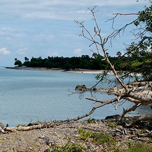 Delft island 