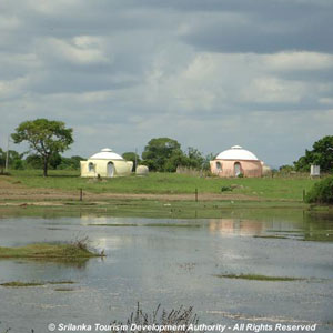 Dome Houses