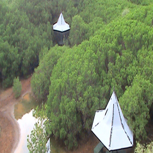 Nara Mangrove Garden