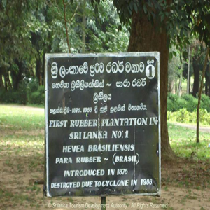 Henarathgoda Botanical Garden 