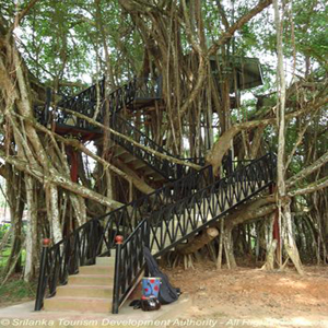 Henarathgoda Botanical Garden 