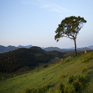 Horton Plains