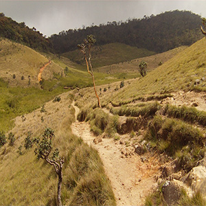 Horton Plains