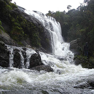 Horton Plains