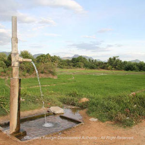 Hot Water Springs in Wahawa