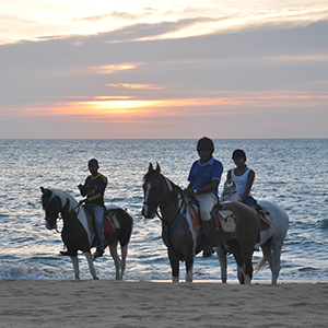 Kalpitiya Beach