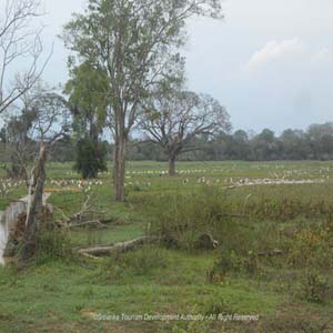 Lahugala Kitulana Forest Reserve