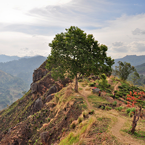 little adams peak