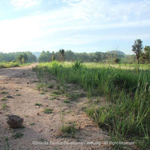 Maduru Oya National Wildlife Park