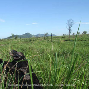 Maduru Oya National Wildlife Park