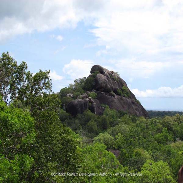 Travel Sri Lanka