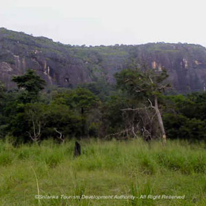 Omunugala Cave Monastery