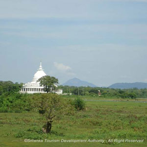 The Japanese Peace Pagoda