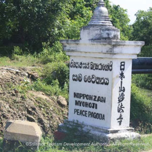 The Japanese Peace Pagoda