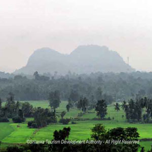 Pannathgoda Purana Raja Maha Viharaya