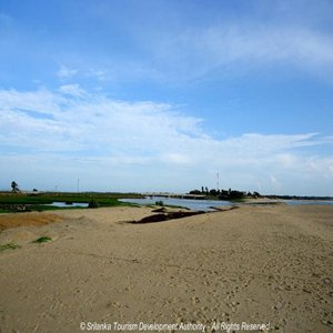 Arugambay & Pottuvil Point