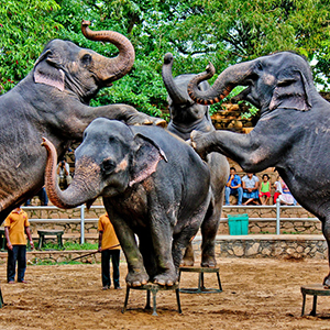 Dehiwala Zoo